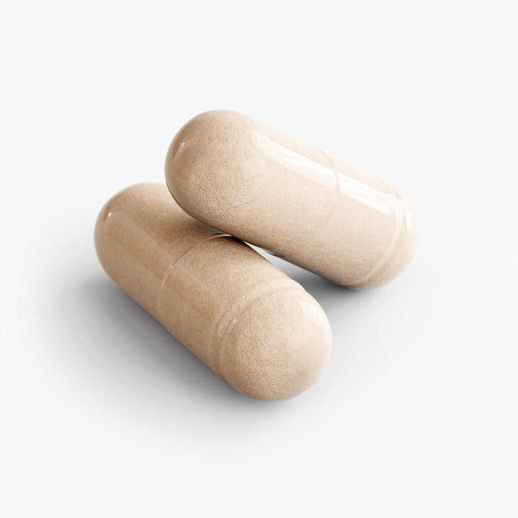 Ashwagandha | Stress Relief & Cortisol Balance Support